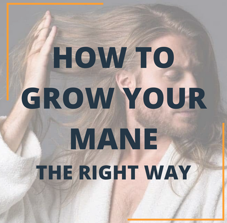 How to grow your mane - The right way!