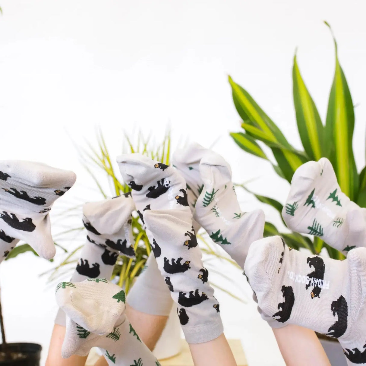 Friday Sock Co. | Bear and Trees