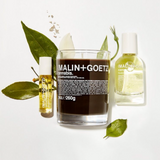 Malin+Goetz Cannabis Candle and oils
